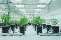 Redbird Grow Room