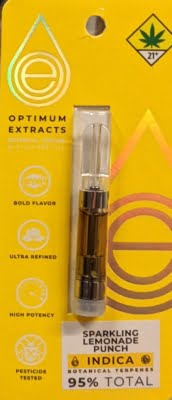 Sparkaling Lemonade Punch